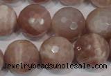 CMS769 15.5 inches 18mm faceted round natural moonstone beads