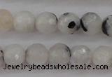 CMS801 15.5 inches 6mm faceted round white moonstone beads