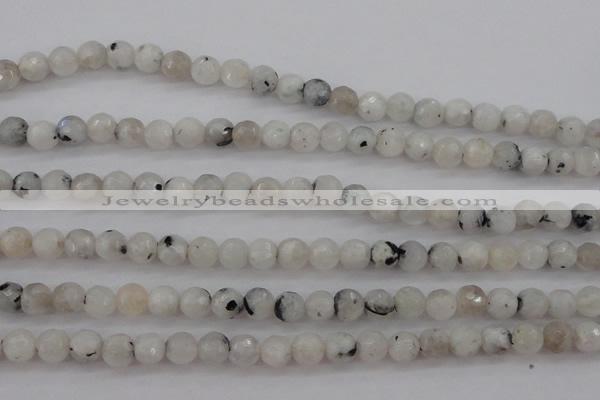 CMS801 15.5 inches 6mm faceted round white moonstone beads