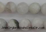 CMS802 15.5 inches 8mm faceted round white moonstone beads