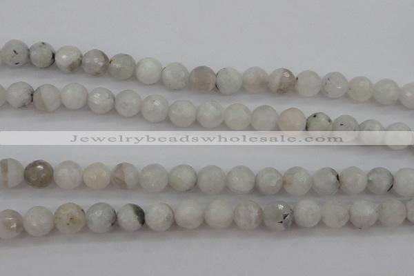 CMS802 15.5 inches 8mm faceted round white moonstone beads