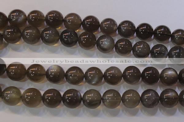 CMS855 15.5 inches 14mm round natural black moonstone beads