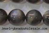 CMS861 15.5 inches 12mm round A grade natural black moonstone beads