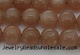 CMS932 15.5 inches 8mm round A grade moonstone gemstone beads