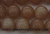 CMS933 15.5 inches 10mm round A grade moonstone gemstone beads