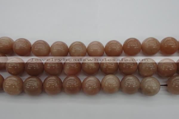 CMS936 15.5 inches 16mm round A grade moonstone gemstone beads