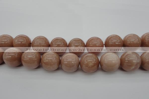 CMS938 15.5 inches 20mm round A grade moonstone gemstone beads