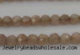 CMS940 15.5 inches 4mm faceted round A grade moonstone gemstone beads