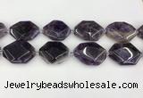 CNA1198 15.5 inches 30*40mm freeform amethyst beads wholesale