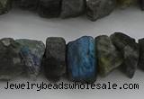 CNG1140 15.5 inches 8*12mm - 13*18mm nuggets labradorite beads