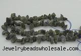 CNG1159 15.5 inches 8*12mm - 13*18mm nuggets labradorite beads