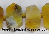 CNG1392 15.5 inches 15*25mm - 20*40mm wand agate gemstone beads