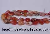 CNG1711 15.5 inches 15*20mm - 20*30mm nuggets red agate beads