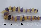 CNG2543 12*20mm – 15*30mm nuggets lavender amethyst & citrine beads