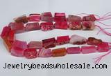 CNG2902 15.5 inches 12*16mm - 15*25mm freeform agate beads