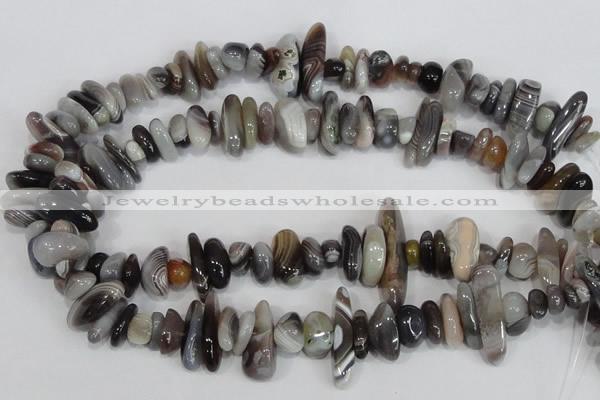 CNG316 15.5 inches 3*6mm - 5*22mm nuggets botswana agate beads