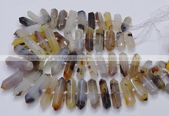 CNG3210 15.5 inches 10*25mm - 12*45mm faceted nuggets Montana agate beads