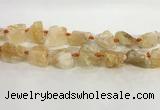 CNG3563 15.5 inches 18*20mm - 25*30mm nuggets rough citrine beads