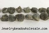 CNG3567 15.5 inches 18*20mm - 25*30mm nuggets rough labradorite beads