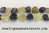 CNG3576 18*20mm - 25*30mm nuggets rough amethyst & lemon quartz beads