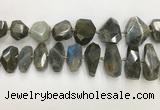 CNG3591 15*25mm - 25*35mm faceted nuggets labradorite beads