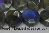 CNG5144 15.5 inches 15*18mm - 15*20mm faceted freeform labradorite beads