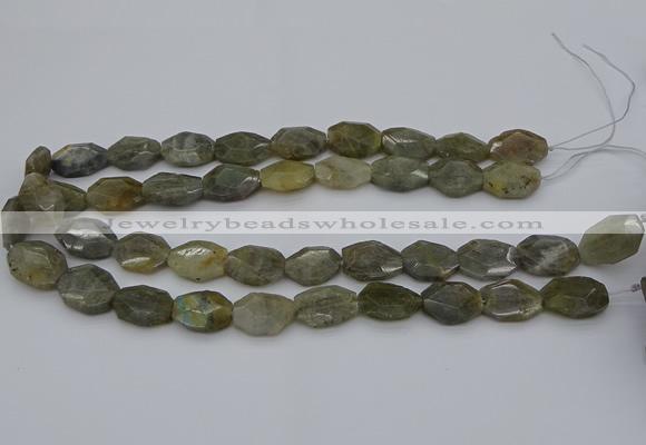 CNG5253 15.5 inches 13*18mm - 15*20mm faceted freeform labradorite beads