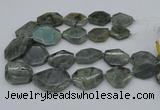 CNG5254 15.5 inches 22*30mm - 35*45mm faceted freeform labradorite beads