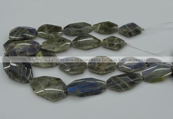 CNG5255 15.5 inches 22*30mm - 35*45mm faceted freeform labradorite beads