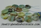 CNG5352 15.5 inches 20*30mm - 35*45mm faceted freeform amazonite beads