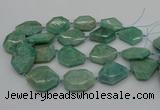 CNG5353 15.5 inches 20*30mm - 35*45mm faceted freeform amazonite beads