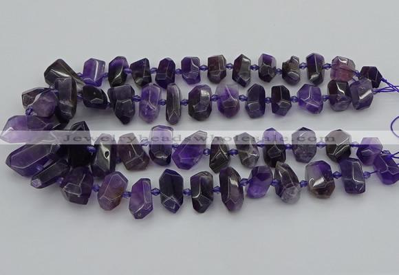 CNG5365 15.5 inches 12*16mm - 15*25mm faceted nuggets amethyst beads