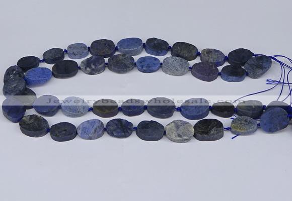 CNG5564 15.5 inches 12*16mm - 18*22mm freeform blue dumortierite beads