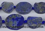 CNG5566 15.5 inches 12*16mm - 18*22mm freeform lapis lazuli beads