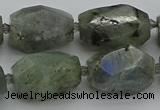 CNG5586 12*16mm - 15*25mm faceted nuggets labradorite beads