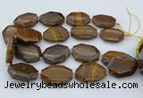 CNG5597 20*30mm - 35*45mm faceted freeform tiger iron beads