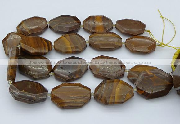 CNG5597 20*30mm - 35*45mm faceted freeform tiger iron beads