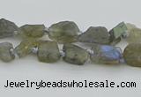 CNG5620 6*9mm - 10*16mm nuggets labradorite gemstone beads