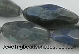 CNG5643 15.5 inches 15*35mm - 18*40mm faceted rice labradorite beads