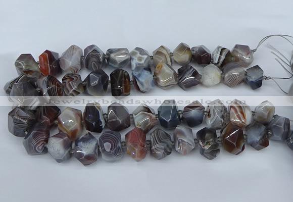 CNG5680 12*16mm - 15*20mm faceted nuggets botswana agate beads