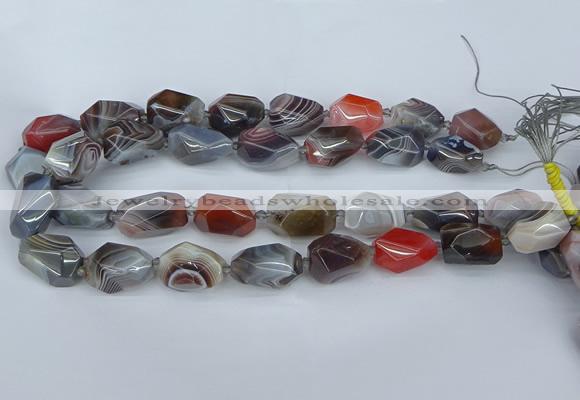 CNG5681 12*16mm - 15*25mm faceted nuggets botswana agate beads