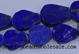 CNG5716 15.5 inches 12*16mm - 15*20mm freeform lapis lazuli beads