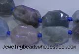 CNG5717 15.5 inches 12*16mm - 13*18mm faceted nuggets aquamarine beads