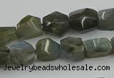 CNG5753 15.5 inches 10*12mm - 12*16mm faceted nuggets labradorite beads