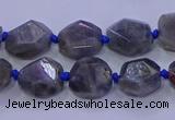 CNG5790 10*12mm - 10*14mm faceted freeform labradorite beads