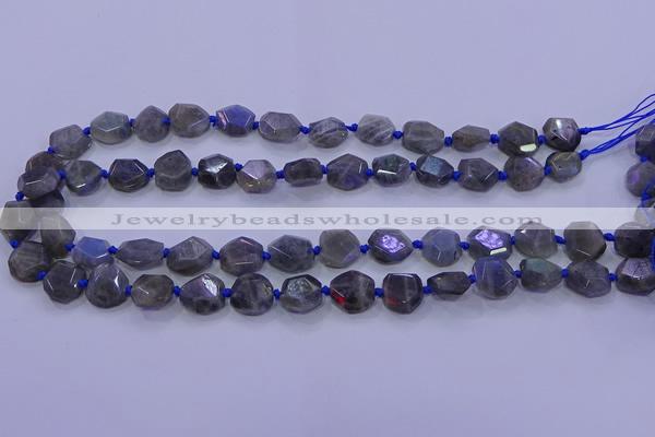 CNG5790 10*12mm - 10*14mm faceted freeform labradorite beads