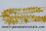 CNG5825 15.5 inches 8*18mm - 13*30mm freeform citrine beads