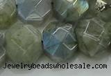 CNG5874 15.5 inches 8*12mm - 12*16mm faceted freeform labradorite beads