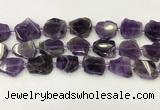 CNG6945 15.5 inches 20*20mm - 25*25mm freeform amethyst beads