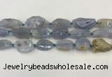 CNG6950 15.5 inches 18*20mm - 22*30mm freeform blue chalcedony beads